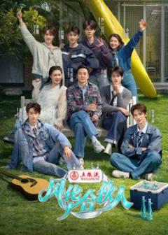 免费在线观看《风华合伙人》