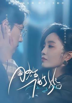 免费在线观看《周先生，借个婚》