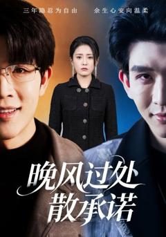 免费在线观看《晚风过处散承诺》