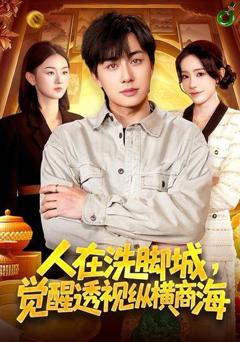免费在线观看《人在洗脚城，觉醒透视纵横商海》