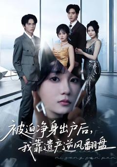 免费在线观看《被迫净身出户后，我靠遗产逆风翻盘》