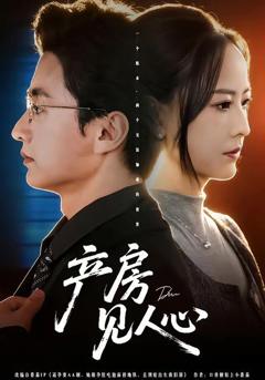 免费在线观看《产房见人心》