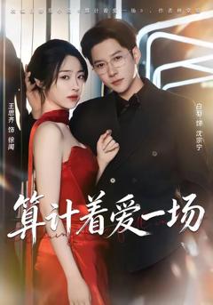 免费在线观看《算计着爱一场》