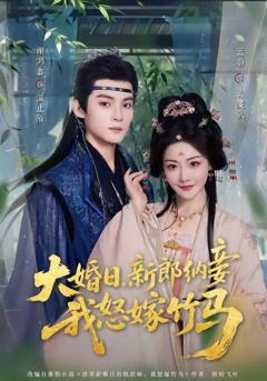 免费在线观看《大婚日，新郎纳妾我怒嫁竹马》