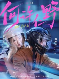 免费在线观看《何许仁野》