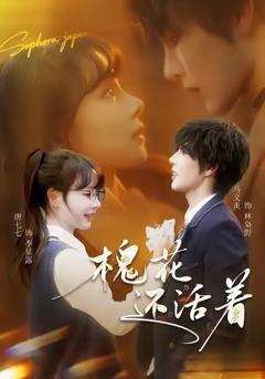 免费在线观看《槐花还活着》