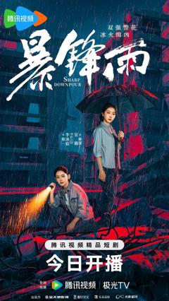 免费在线观看完整版大陆剧《暴锋雨》