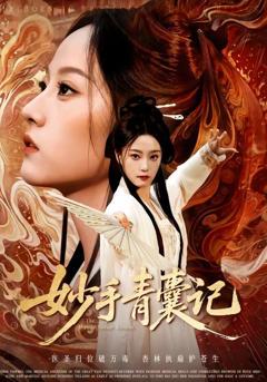 免费在线观看《妙手青囊记》