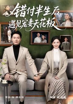 免费在线观看《错付半生后，遇见宠妻天花板》
