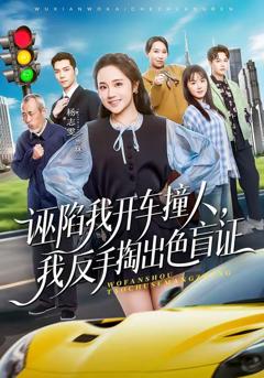 免费在线观看《诬陷我开车撞人，我反手掏出色盲》