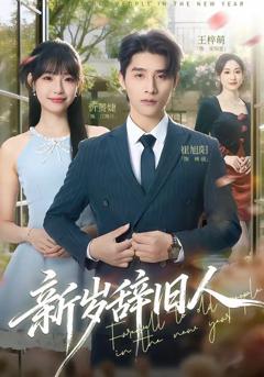 免费在线观看《新岁辞旧人》