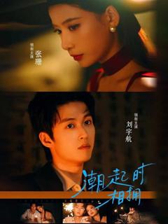 免费在线观看《潮起时相拥》