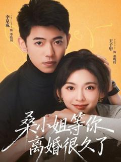 免费在线观看《桑小姐，等你离婚很久了》