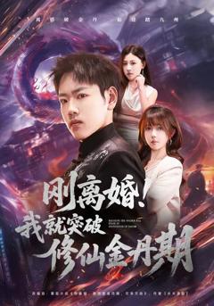 免费在线观看《刚离婚！我就突破修仙金丹期》