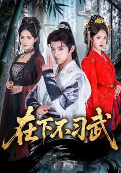 免费在线观看《在下不习武》