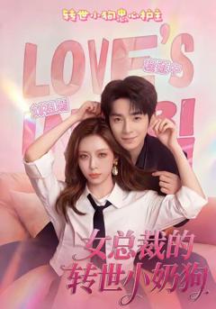 免费在线观看《女总裁的转世小奶狗》