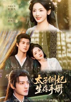 免费在线观看《太子侧妃生存手册》
