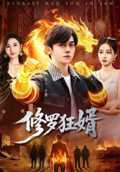 免费在线观看《修罗狂婿》