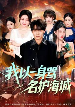 免费在线观看《我以一身骂名护海城》