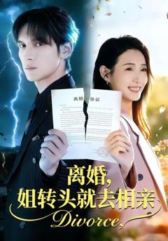 免费在线观看《离婚，姐转头就去相亲》