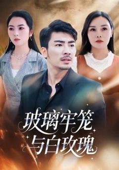 免费在线观看《玻璃牢笼与白玫瑰》