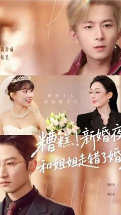 免费在线观看《糟糕！新婚夜！和姐姐走错了婚房，糟糕新婚夜和姐姐走错了婚房》