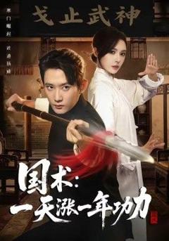 免费在线观看《国术，一天涨一年功力》