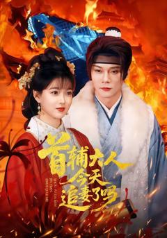 免费在线观看《首辅大人今天追妻了吗》