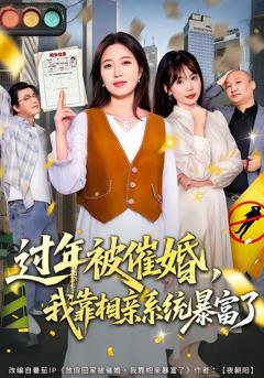 免费在线观看《过年被催婚，我靠相亲系统暴富了》