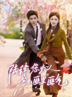 免费在线观看《陆律，您夫人怎么匪里匪气》