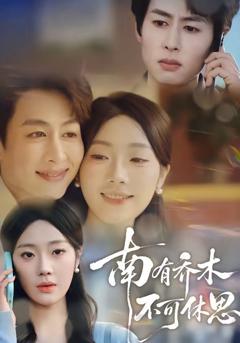 免费在线观看《南有乔木，不可休思》