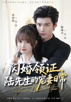 免费在线观看《闪婚领证，陆先生的宠妻日常》