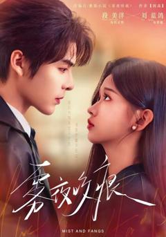 免费在线观看《雾夜咬痕》