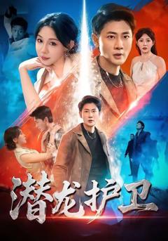 免费在线观看《潜龙护卫》