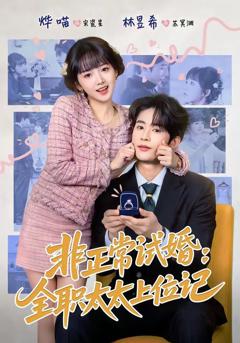 免费在线观看《非正常试婚：全职太太上位记》