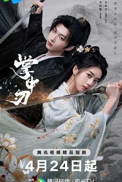 免费在线观看完整版大陆剧《掌中刃》
