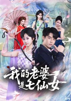 我的老婆是七仙女