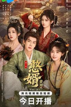 免费在线观看完整版大陆剧《憨婿》