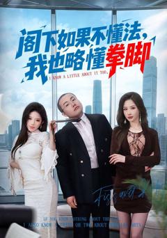 免费在线观看《阁下如果不懂法，我也略懂拳脚》
