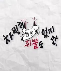 免费在线观看《虽然没准备什么菜第二季》