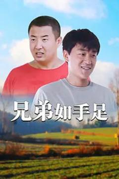 免费在线观看完整版大陆剧《兄弟如手足》