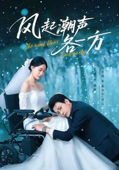 免费在线观看《风起潮声各一方》