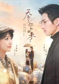 免费在线观看《天亮了，你就回来了》