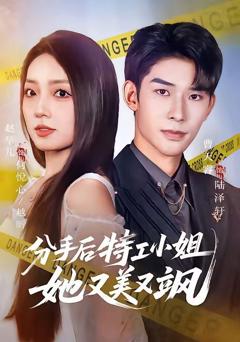 免费在线观看《分手后特工小姐她又美又飒》