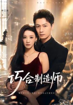 免费在线观看《巧合制造师》