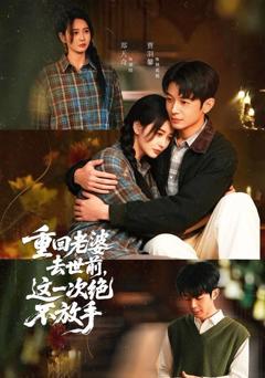 免费在线观看《重回老婆去世前，这一次绝不放手》