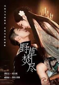 免费在线观看《野草焚尽》