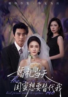 免费在线观看《婚礼当天，闺蜜想要替代我》