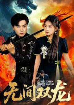 免费在线观看《无间双龙》