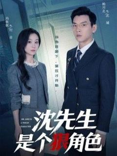 免费在线观看《沈先生是个狠角色》
